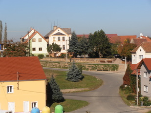 Obec Plešnice